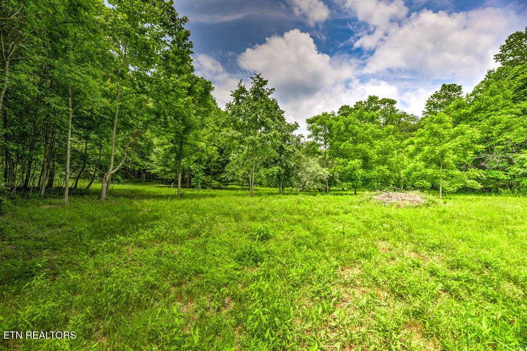 Stone Ridge Drive, Andersonville, TN 37705