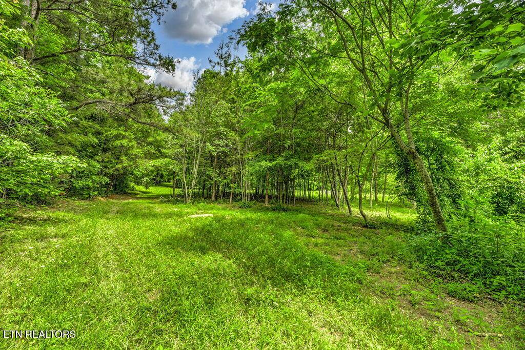 Stone Ridge Drive, Andersonville, TN 37705