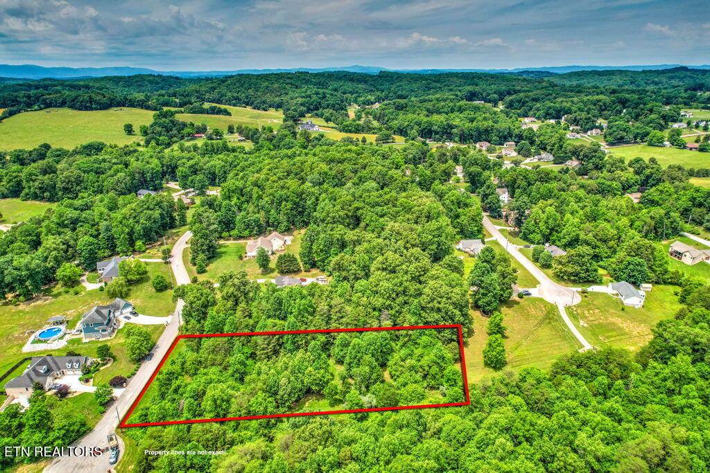 Stone Ridge Drive, Andersonville, TN 37705