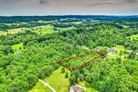 Stone Ridge Drive, Andersonville, TN 37705