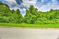 Stone Ridge Drive, Andersonville, TN 37705