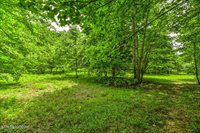 Stone Ridge Drive, Andersonville, TN 37705