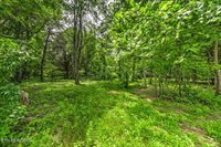Stone Ridge Drive, Andersonville, TN 37705
