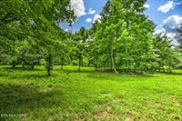 Stone Ridge Drive, Andersonville, TN 37705