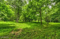 Stone Ridge Drive, Andersonville, TN 37705
