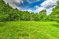 Stone Ridge Drive, Andersonville, TN 37705
