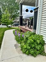 814 1st Avenue East, Williston, ND 58801