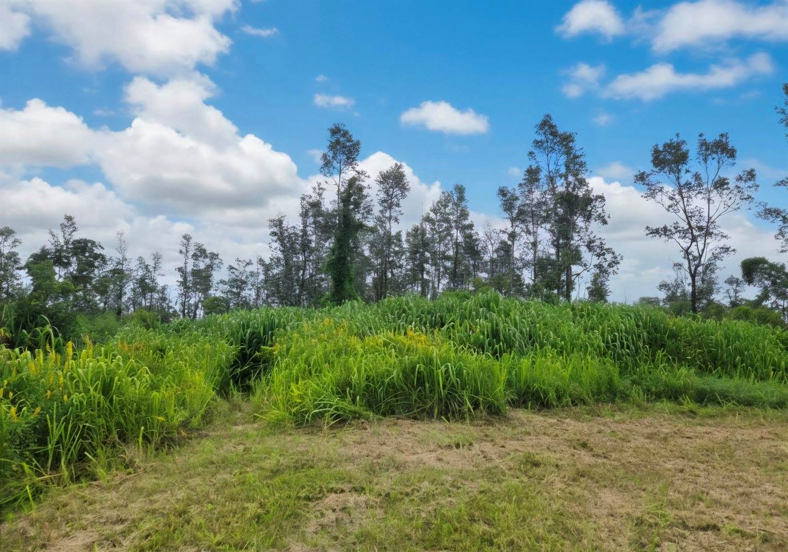 Pukalani Dr, Pahoa, HI 96778
