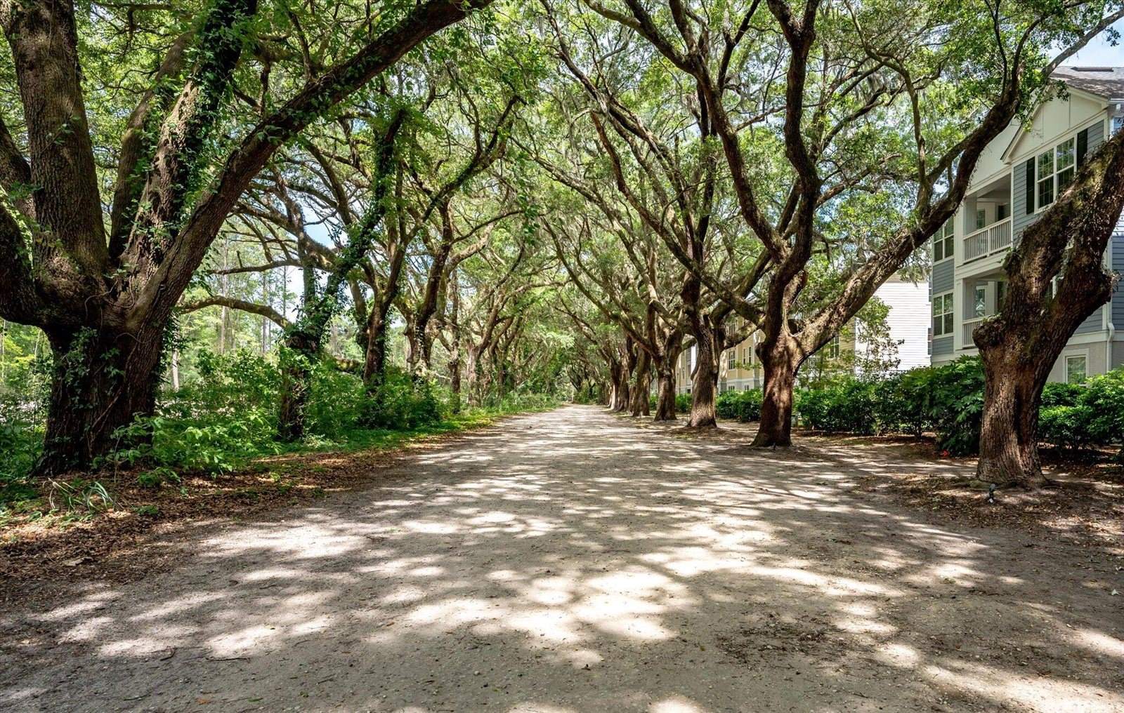 60 Fenwick Hall Alley, Johns Island, SC 29455