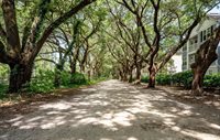 60 Fenwick Hall Alley, Johns Island, SC 29455