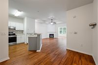 60 Fenwick Hall Alley, Johns Island, SC 29455