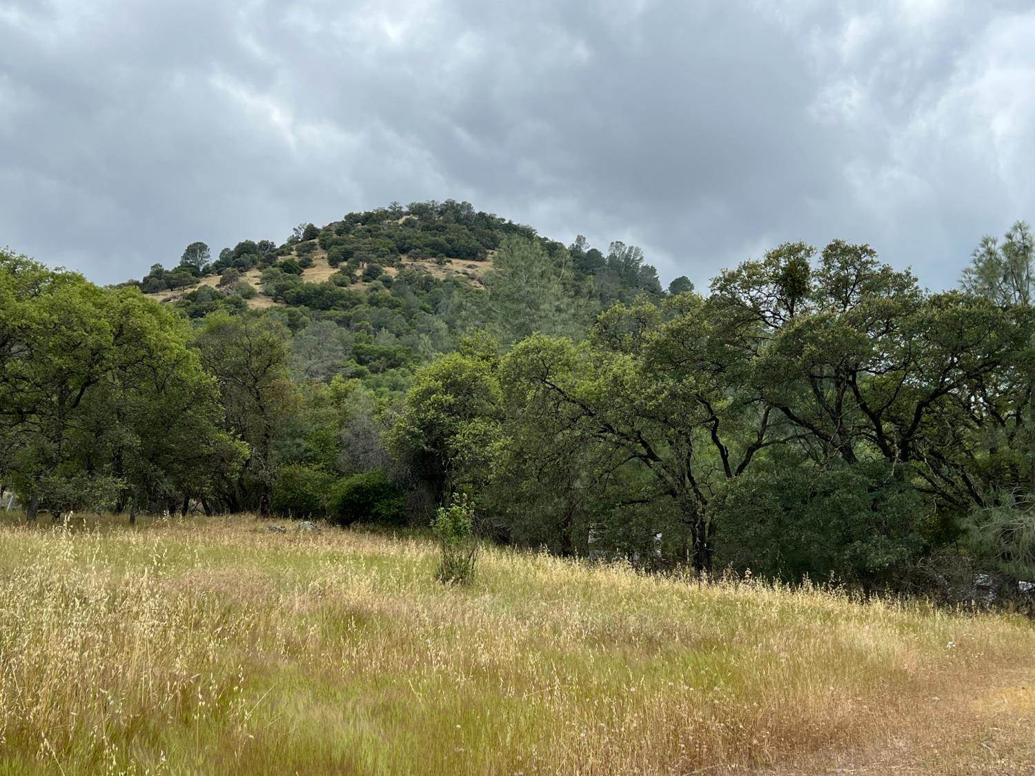 10840 Pool Station Road, Angels Camp, CA 95222