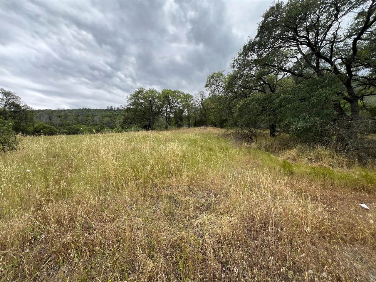 10840 Pool Station Road, Angels Camp, CA 95222
