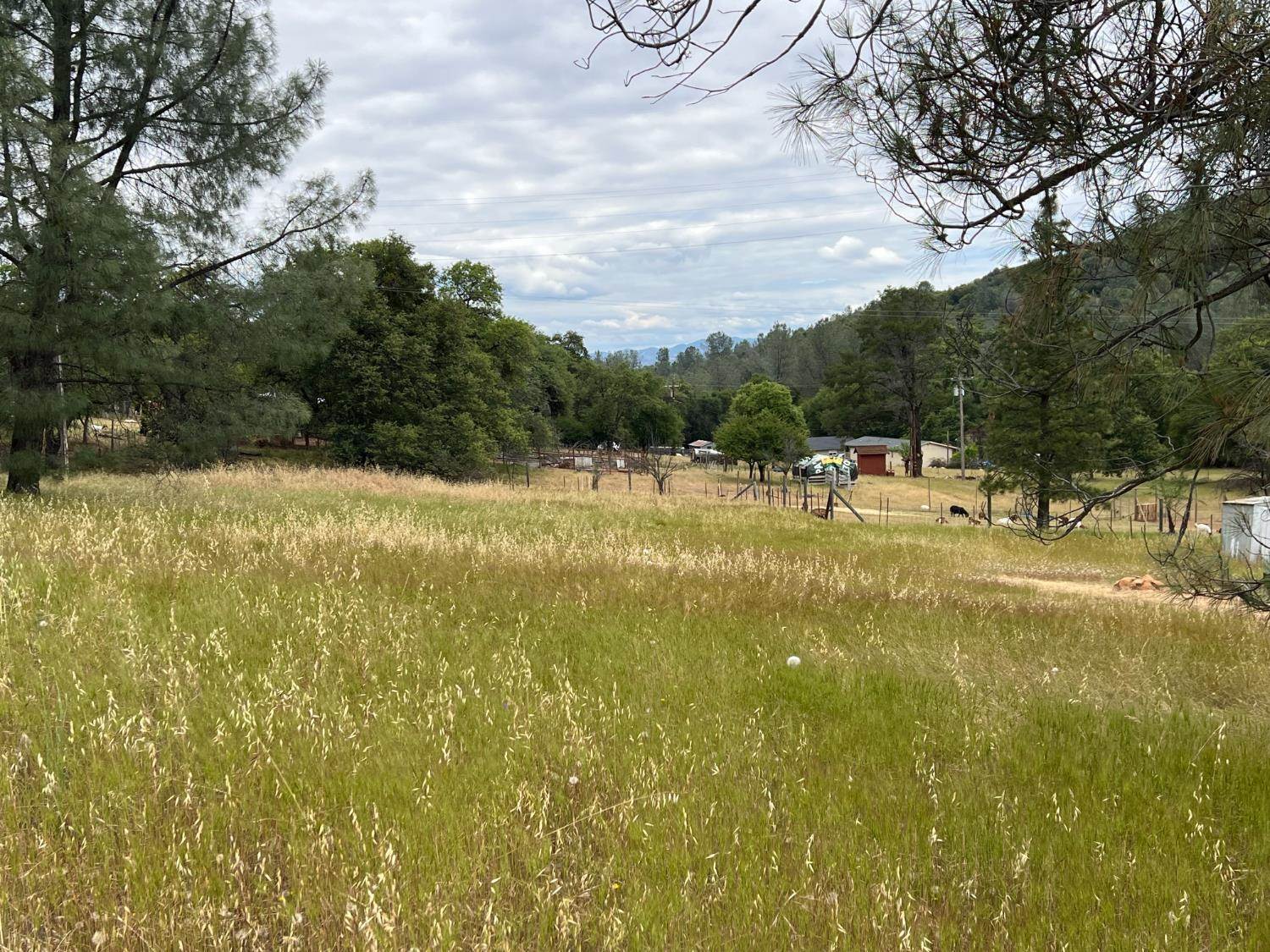 10840 Pool Station Road, Angels Camp, CA 95222