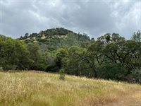 10840 Pool Station Road, Angels Camp, CA 95222
