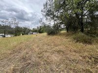 10840 Pool Station Road, Angels Camp, CA 95222