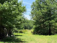 41 Mallory St, Morrilton, AR 72110