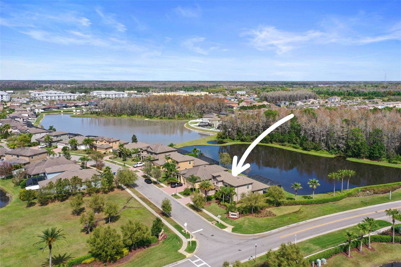 1670 Cameron Court, New Port Richey, FL 34655