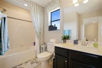 1670 Cameron Court, New Port Richey, FL 34655