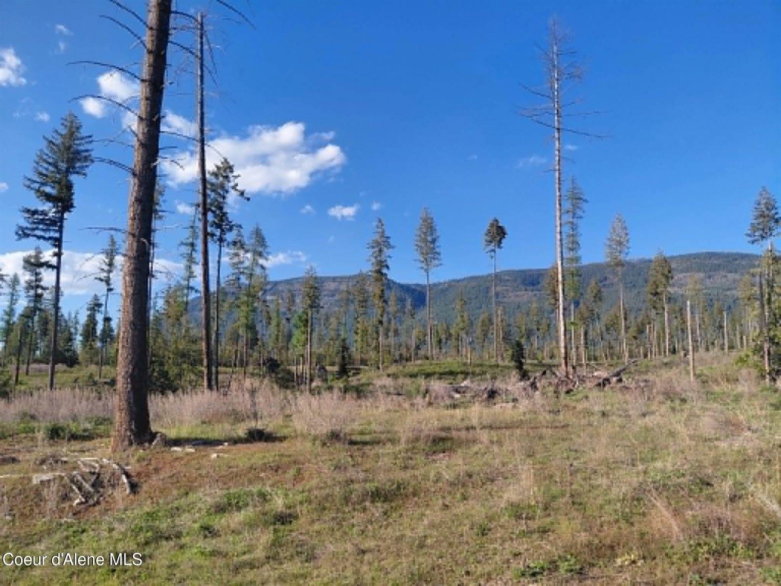 NNA This Way Rd, Bonners Ferry, ID 83805