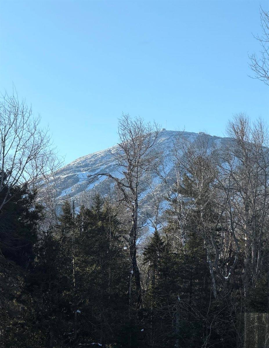 5008 Elderberry Way, Carrabassett Valley, ME 04947