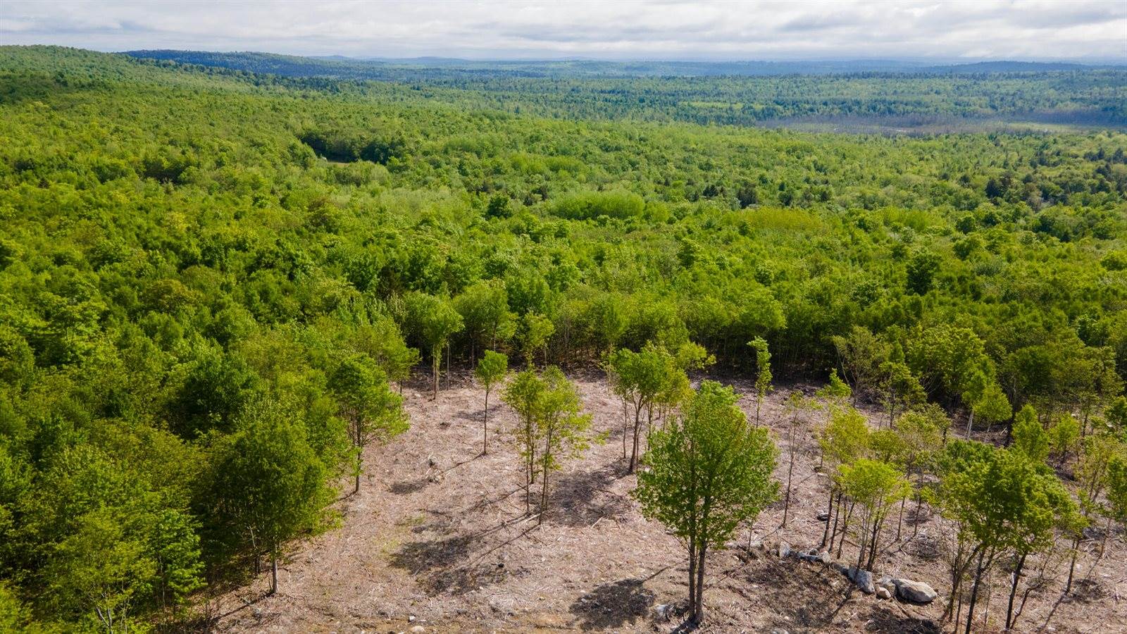 Lot 21 Grand View Drive, Dedham, ME 04429