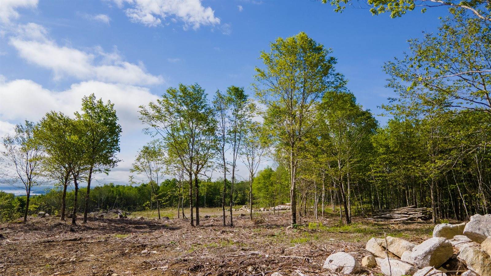 Lot 21 Grand View Drive, Dedham, ME 04429