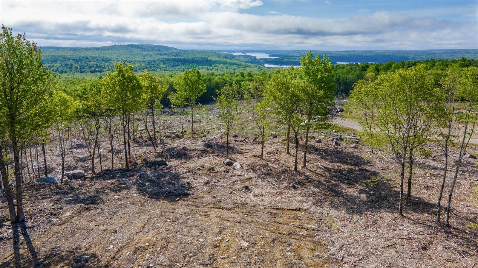 Lot 21 Grand View Drive, Dedham, ME 04429