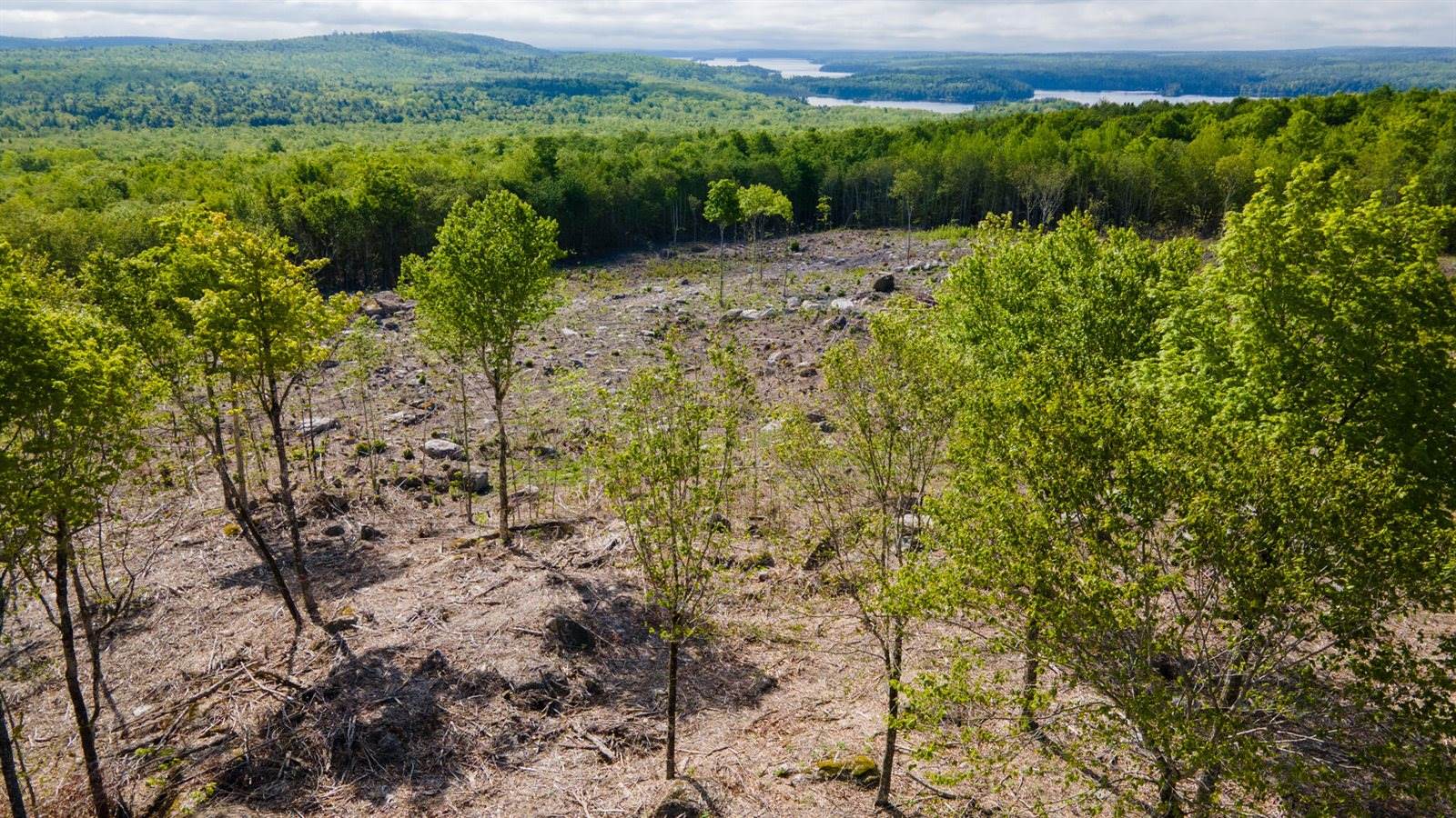 Lot 21 Grand View Drive, Dedham, ME 04429
