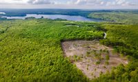 Lot 21 Grand View Drive, Dedham, ME 04429