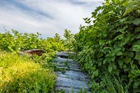 754 Livingston Bay Shore Drive, Camano Island, WA 98282