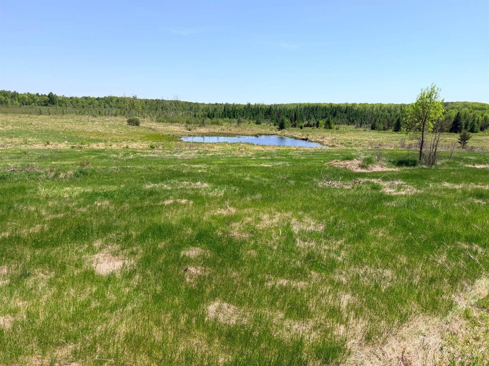 54003 Dollar Lake Road, Sandstone, MN 55072