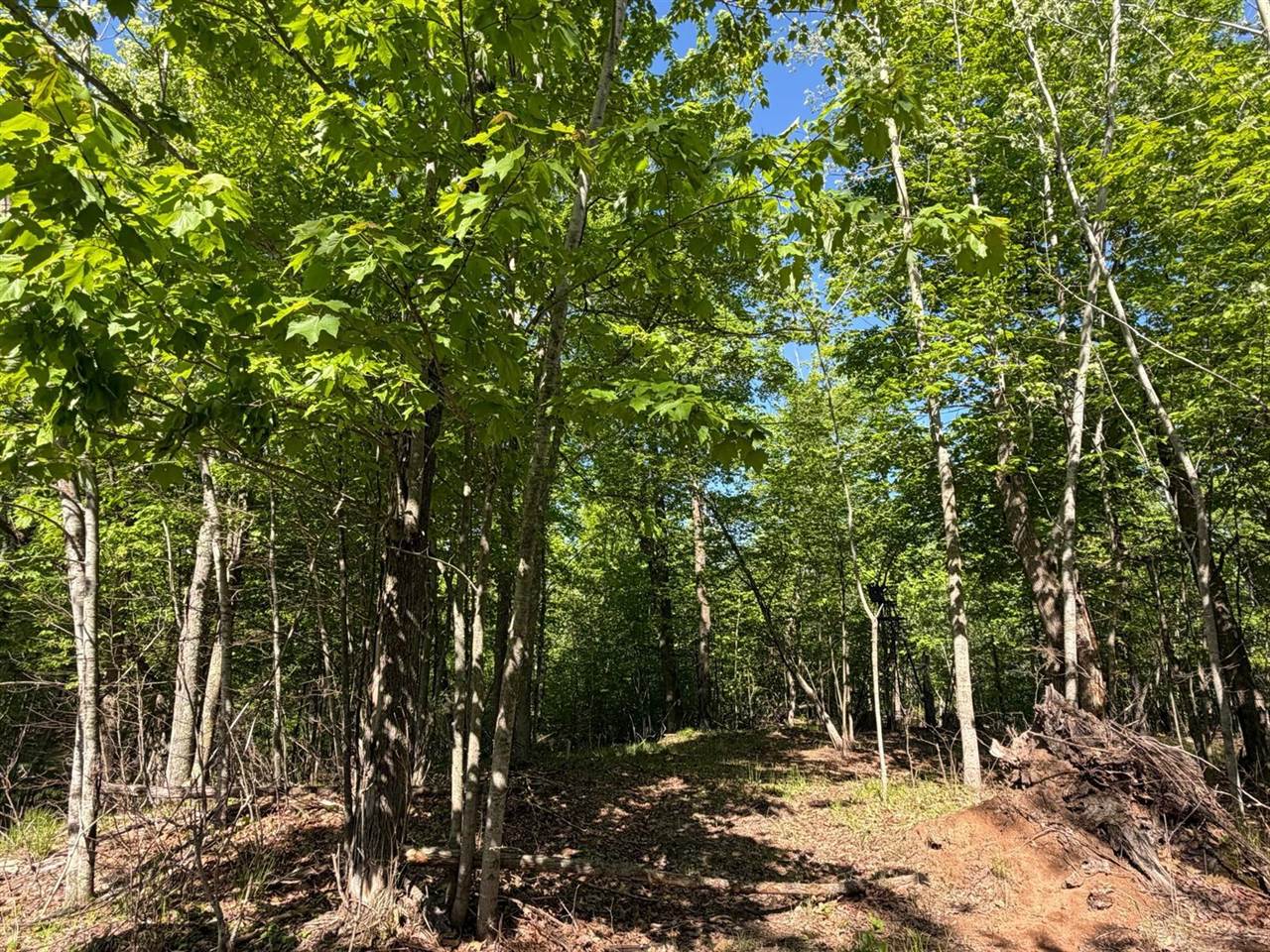 54003 Dollar Lake Road, Sandstone, MN 55072