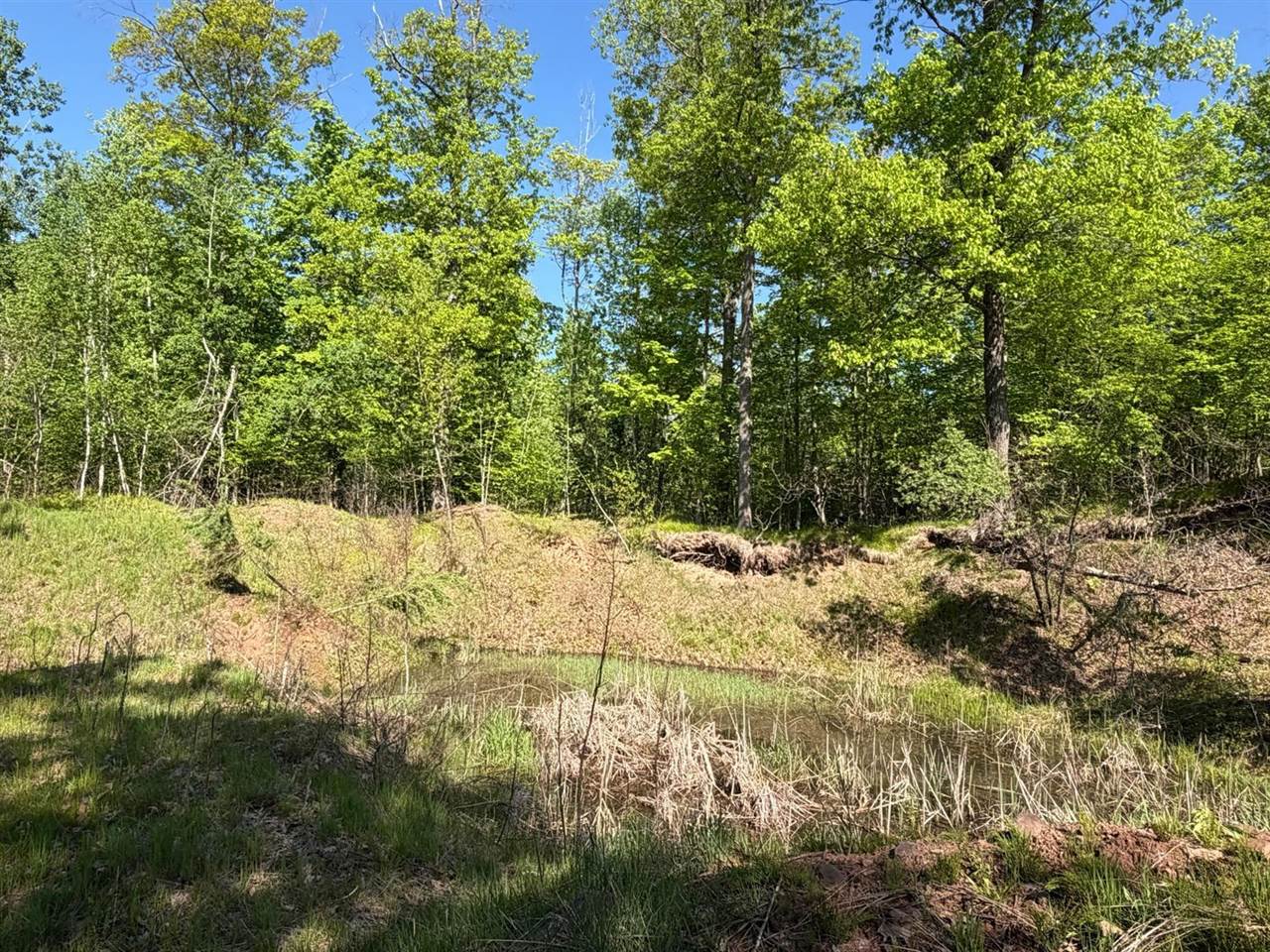 54003 Dollar Lake Road, Sandstone, MN 55072