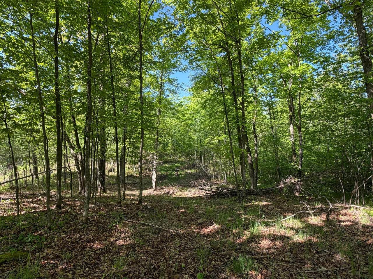 54003 Dollar Lake Road, Sandstone, MN 55072