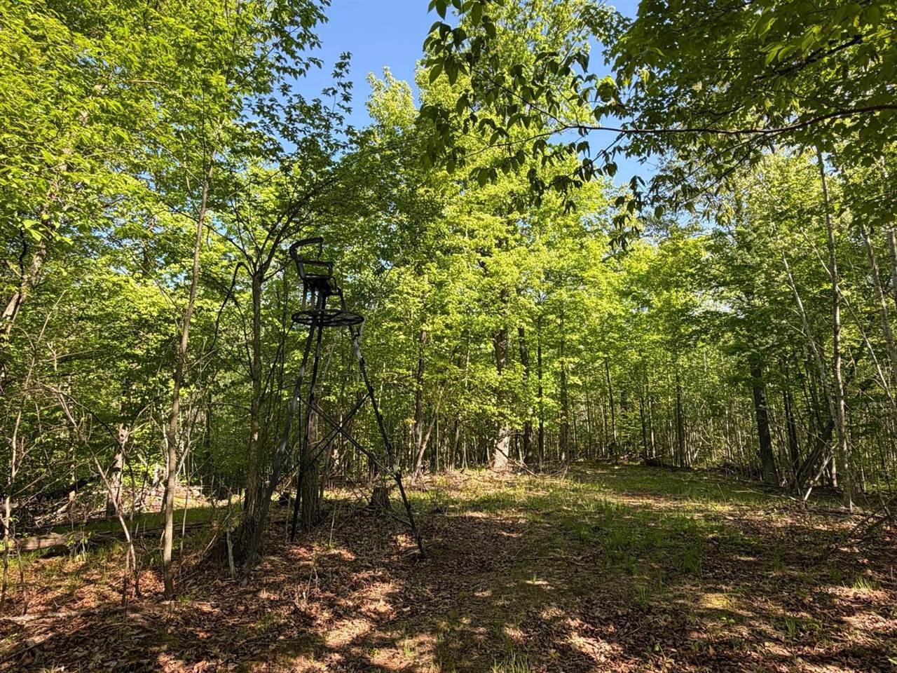 54003 Dollar Lake Road, Sandstone, MN 55072