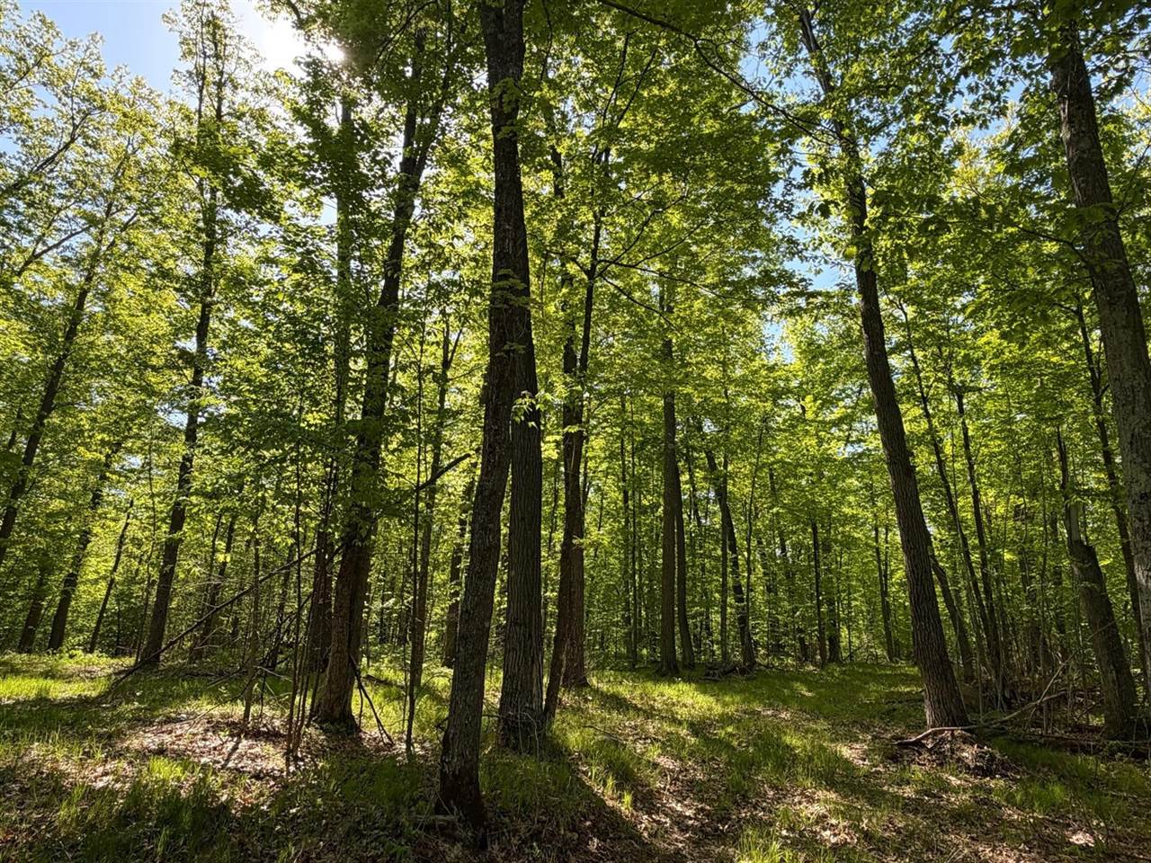54003 Dollar Lake Road, Sandstone, MN 55072