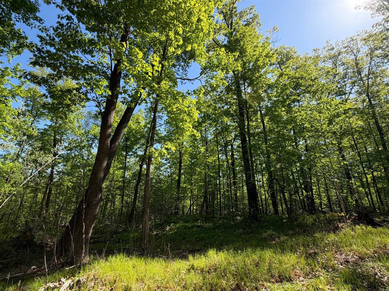 54003 Dollar Lake Road, Sandstone, MN 55072