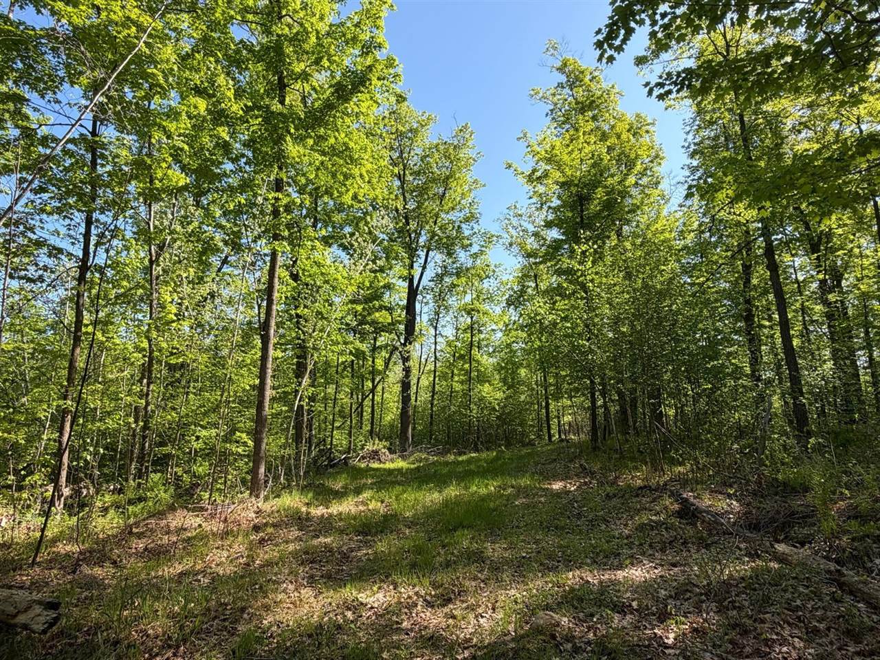 54003 Dollar Lake Road, Sandstone, MN 55072