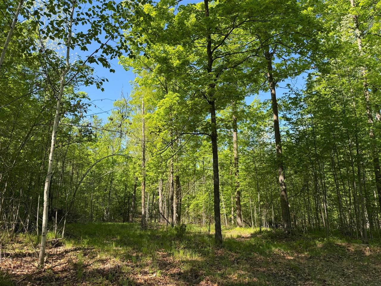 54003 Dollar Lake Road, Sandstone, MN 55072