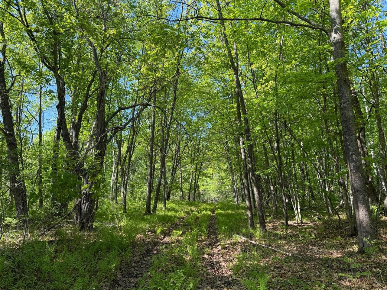 54003 Dollar Lake Road, Sandstone, MN 55072