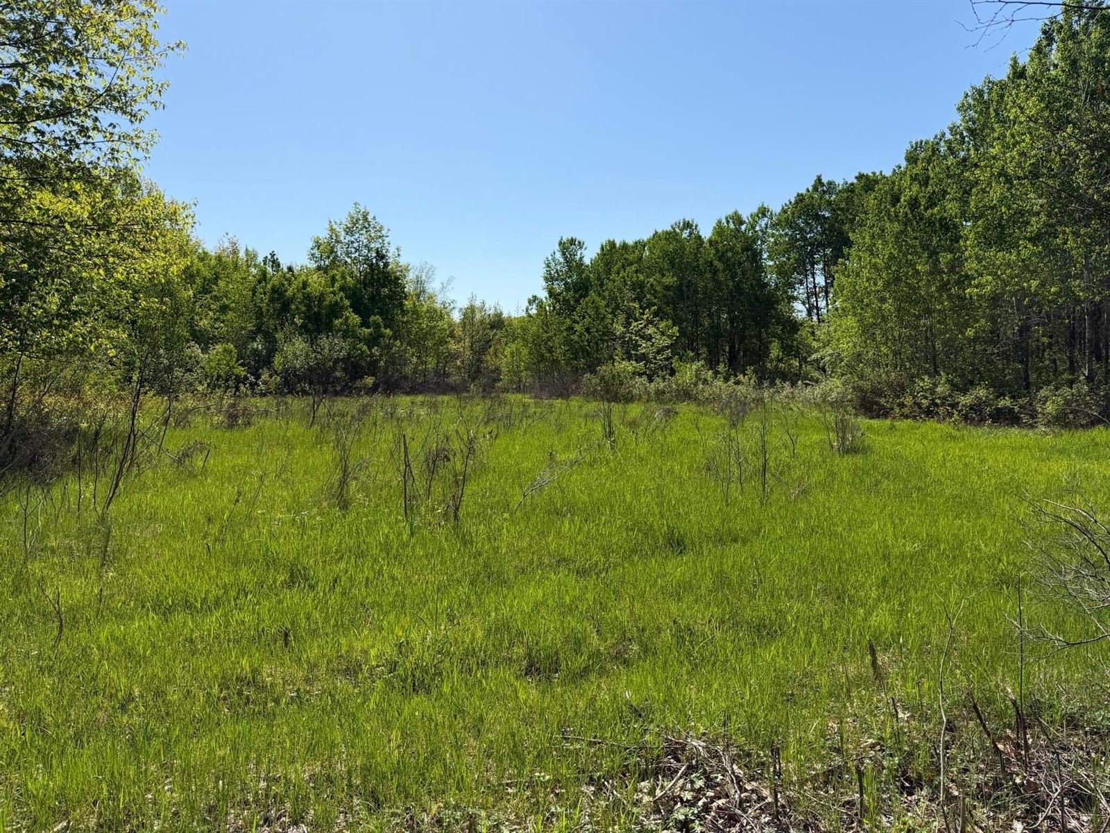 54003 Dollar Lake Road, Sandstone, MN 55072
