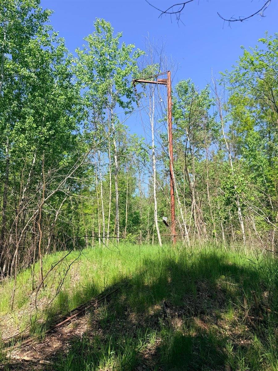54003 Dollar Lake Road, Sandstone, MN 55072