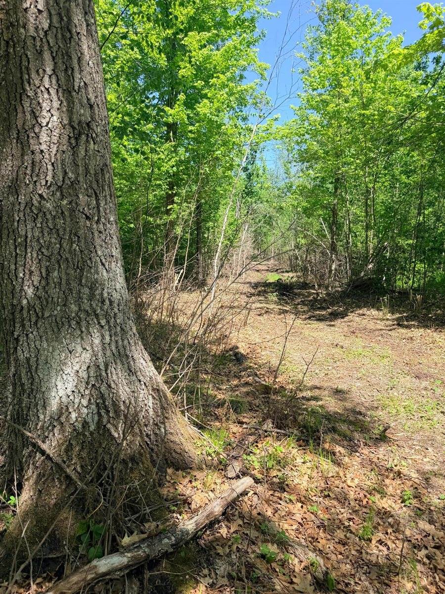 54003 Dollar Lake Road, Sandstone, MN 55072