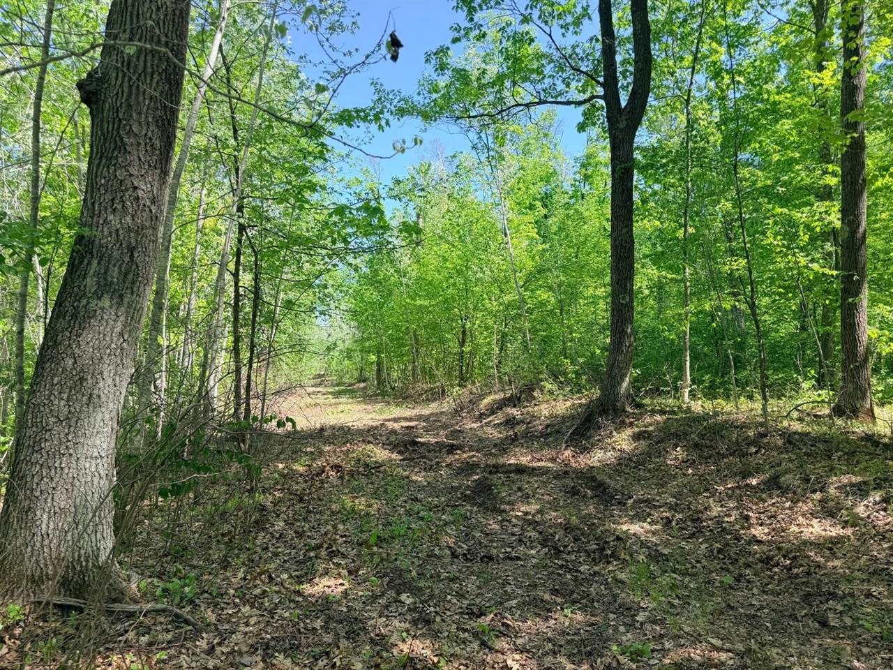 54003 Dollar Lake Road, Sandstone, MN 55072