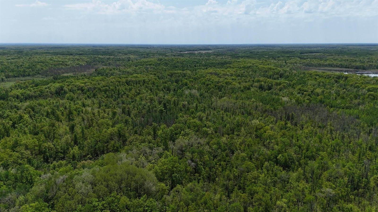 54003 Dollar Lake Road, Sandstone, MN 55072