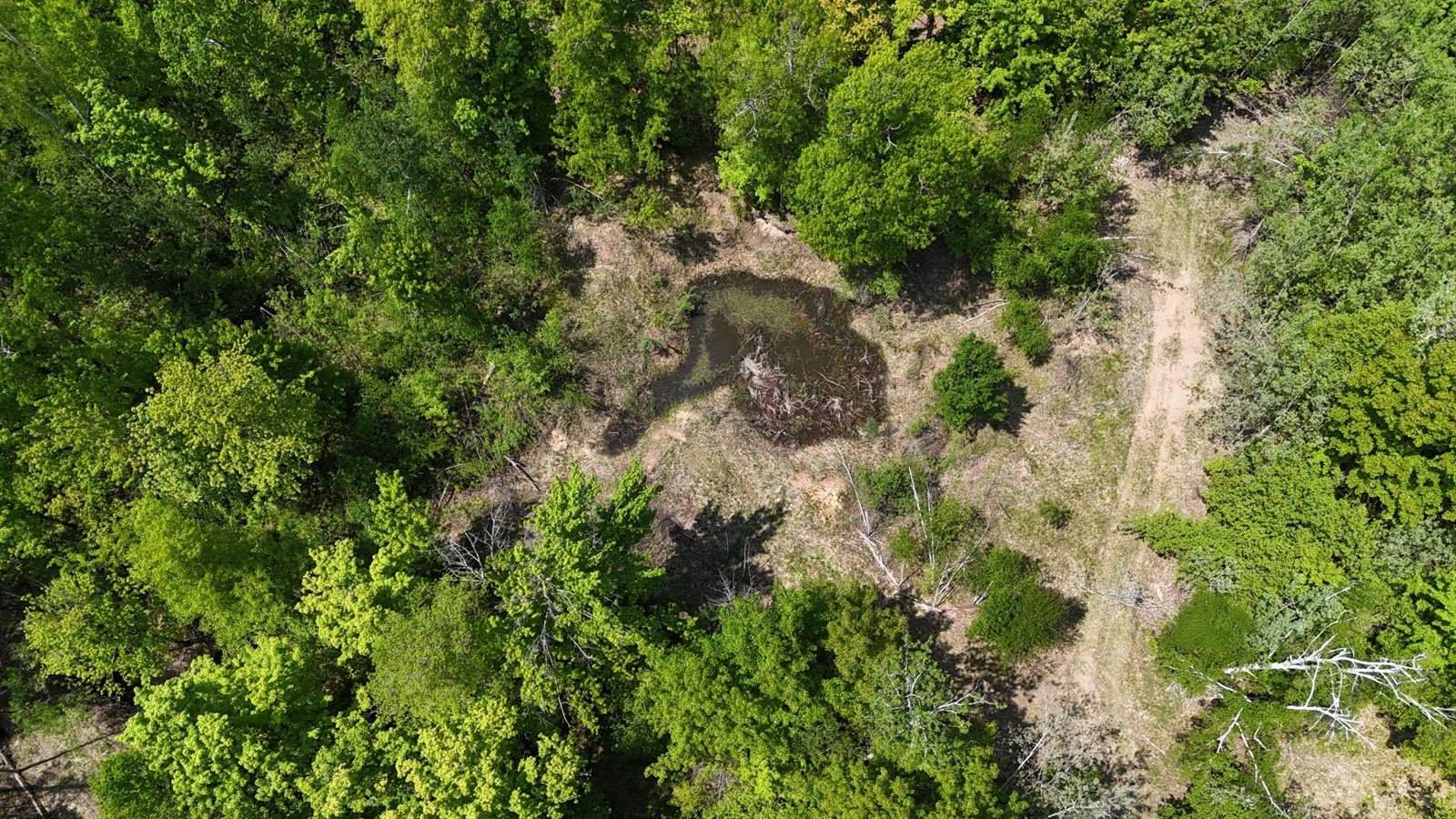 54003 Dollar Lake Road, Sandstone, MN 55072