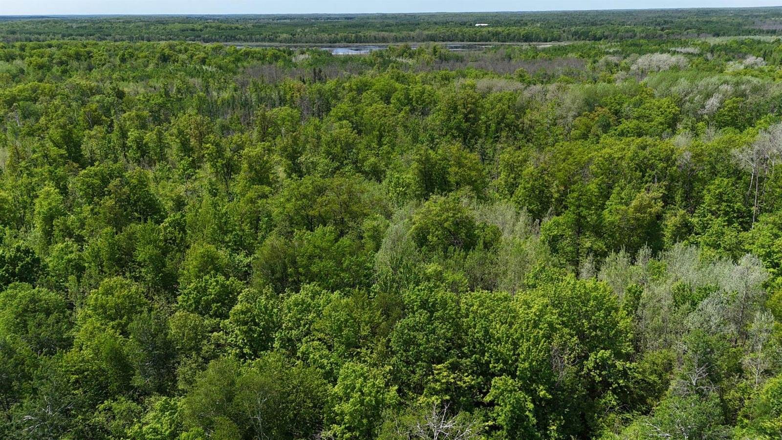 54003 Dollar Lake Road, Sandstone, MN 55072