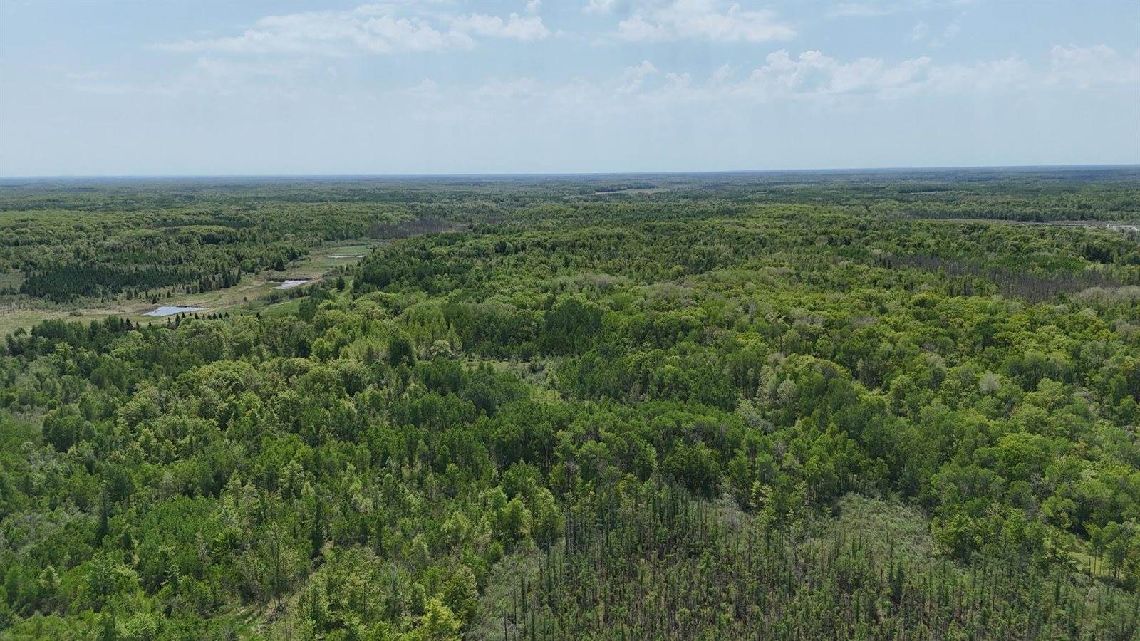 54003 Dollar Lake Road, Sandstone, MN 55072