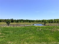 54003 Dollar Lake Road, Sandstone, MN 55072